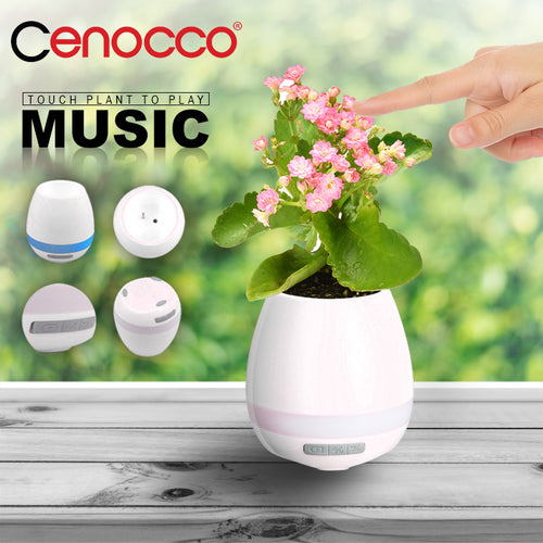 Cenocco CC-9043; Smart and musical pot