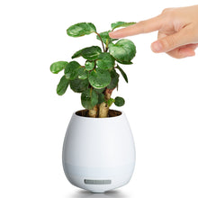 Cenocco CC-9043; Smart and musical pot